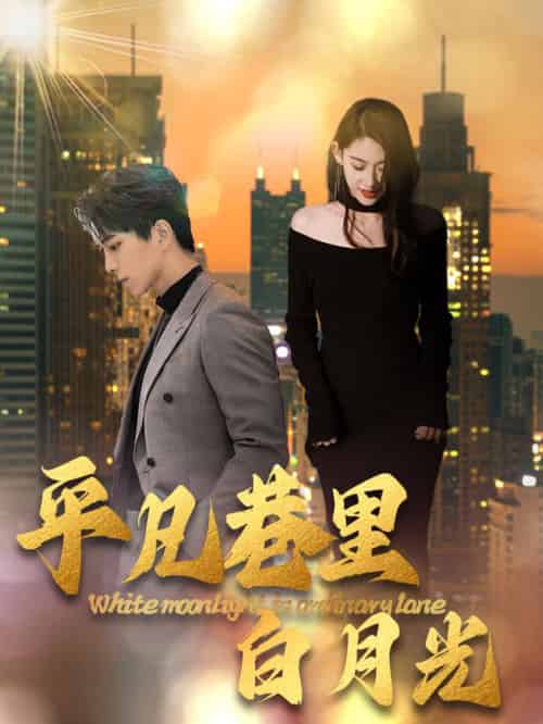 平凡巷里白月光（33集全）-初遇资源网