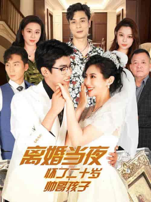 离婚当夜怀了二十岁帅哥（75集全）-初遇资源网