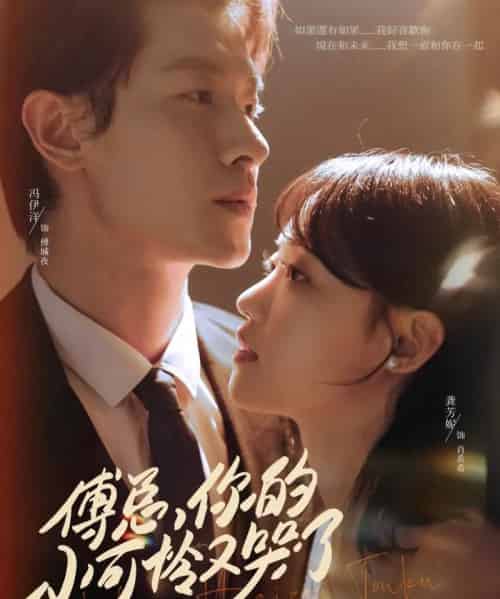 傅总你的小可怜又哭了(80集)冯伊洋&龚芳妮-初遇资源网