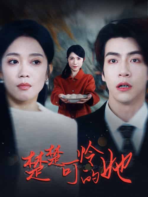 楚楚可怜的她（50集）-初遇资源网