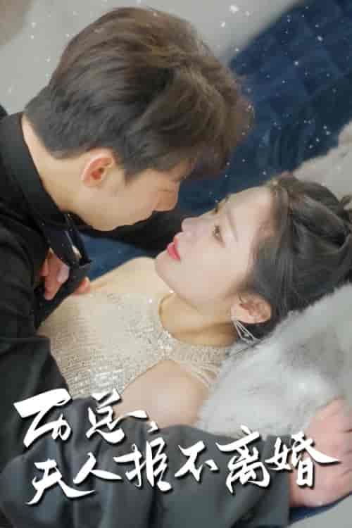 历总，夫人拒不离婚（61集）-初遇资源网