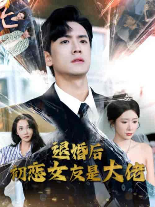 退婚后初恋女友是大佬（101集全）-初遇资源网