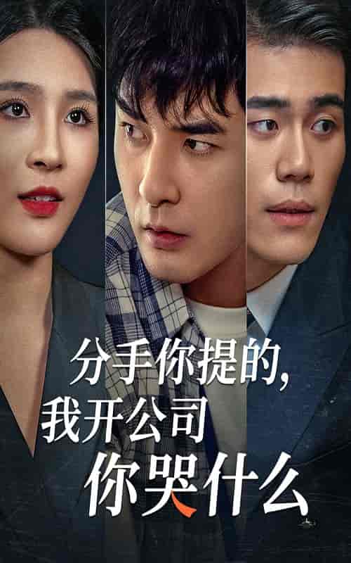 分手你提的，我开公司你哭什么（61集全）-初遇资源网