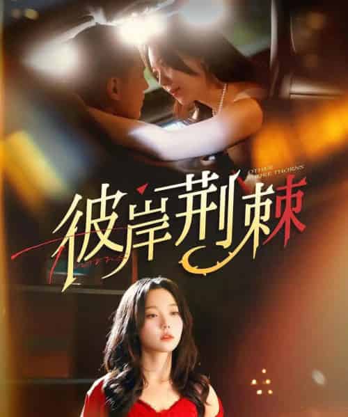 彼岸荆棘（88集）王慧龙＆张贻乔-初遇资源网