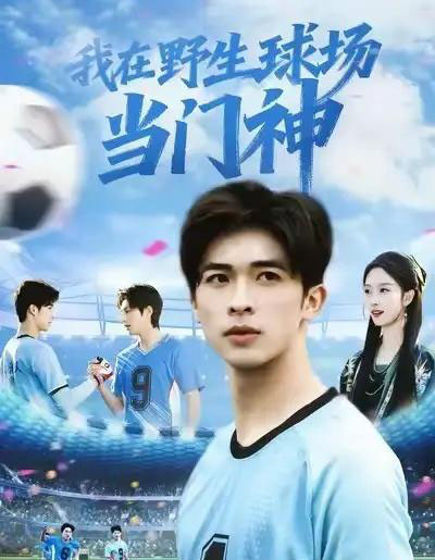 我在野生球场当门神（31集全）-初遇资源网