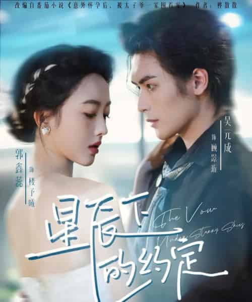 星辰下的约定（80集全）吴元成＆郭鑫蕊-初遇资源网