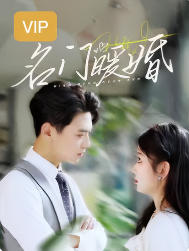 名门暖婚【小合集每集20分钟】-初遇资源网