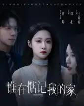 谁在惦记我的家（30集全）刘北＆王嘉嘉-初遇资源网