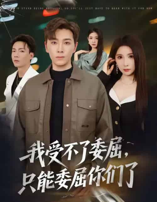 我受不了委屈只能委屈你们了（54集全）胡程耀＆金瞳-初遇资源网