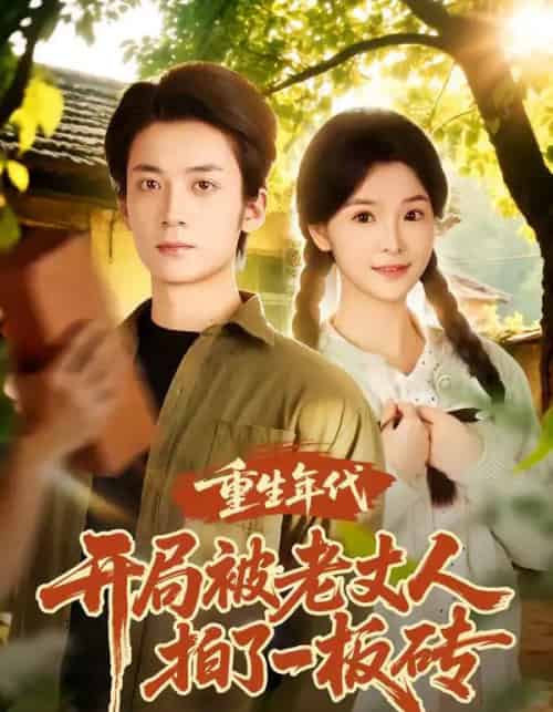 重生年代开局被老丈人拍了一板砖（82集全）陈含＆冯亦-初遇资源网