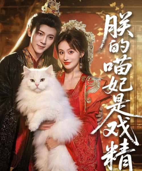 朕的喵妃是戏精（72集）范呈麒＆娄宇瑶-初遇资源网