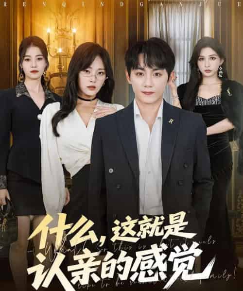 什么,这就是认亲的感觉&什么这就是认亲的感觉(82集全)徐菡琳&钟政-初遇资源网