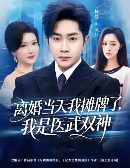 离婚当天我摊牌了，我是医武双神（80集全）杨然＆尹竹-初遇资源网