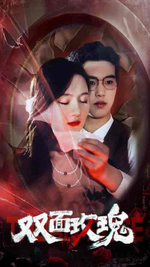 双面玫瑰(34集)李诺-初遇资源网