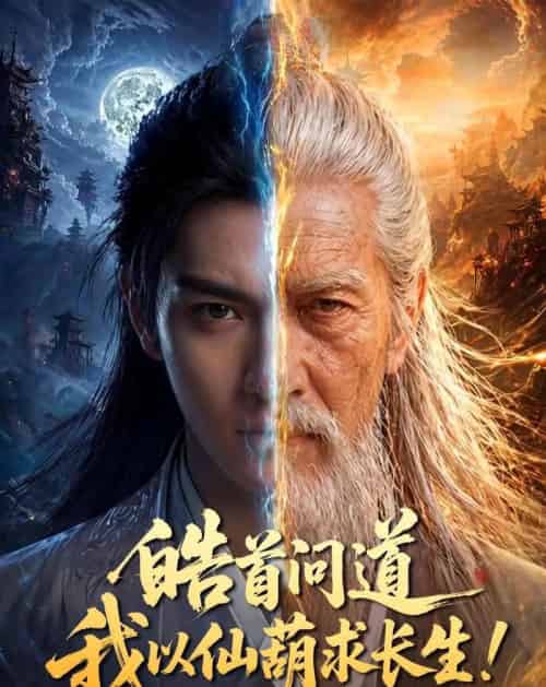 皓首问道，我以仙葫求长生！（67集全）AI-初遇资源网