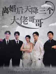 离婚后天降三个大佬哥哥（83集）-初遇资源网