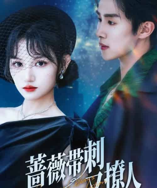 蔷薇带刺又撩人(70集)马士尧&安晓洁-初遇资源网