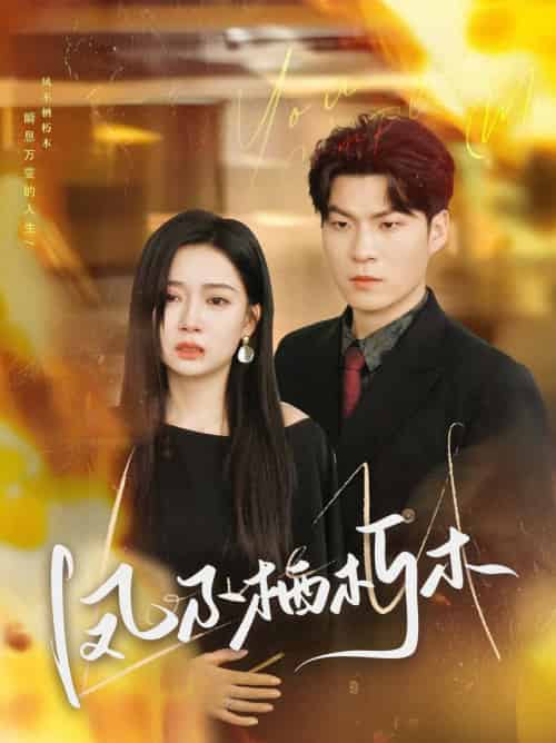 凤不栖朽木（80集全）邓恒健＆郭怡凡-初遇资源网