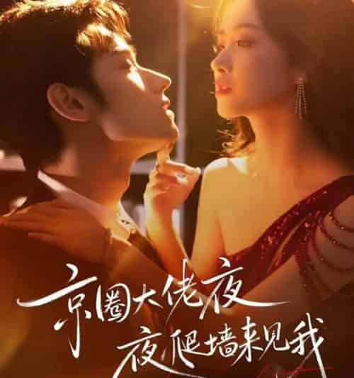 京圈大佬夜夜爬墙来见我＆吻上瘾，顾总他破防了（73集全）赵星卉＆袁凯凯-初遇资源网