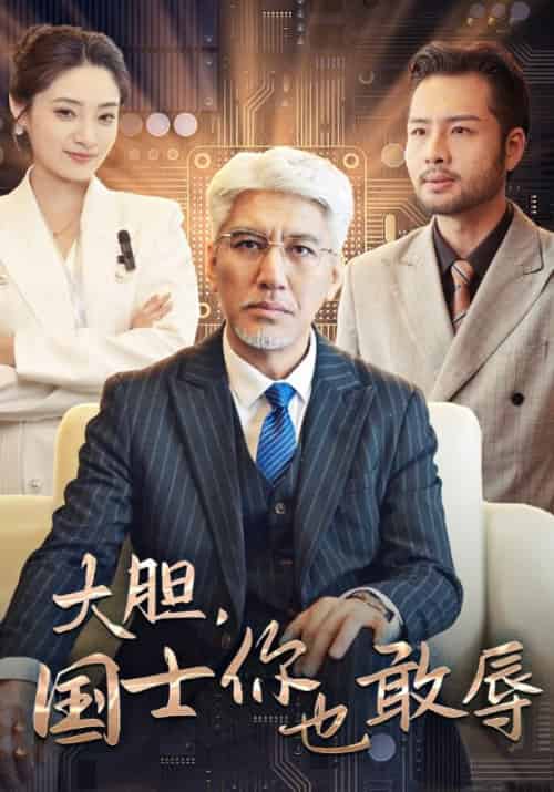 大胆，国士你也敢辱待改名（30集全）林振国＆萧晴川-初遇资源网