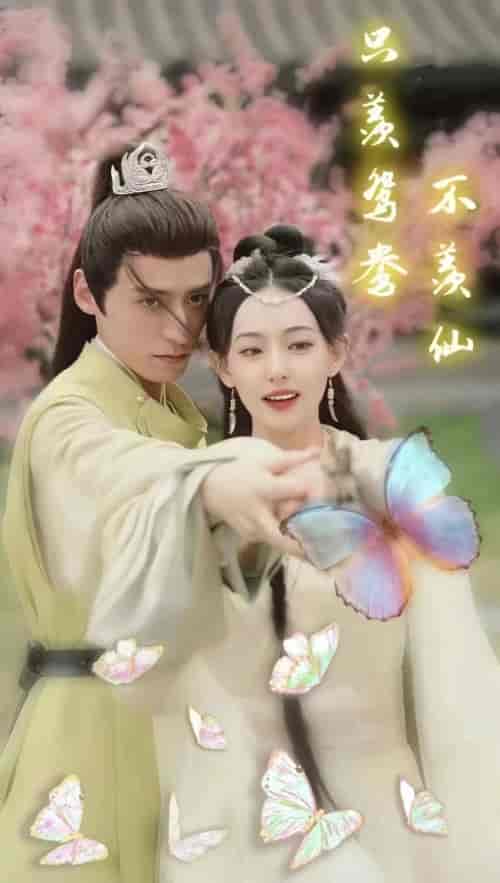 只羡鸳鸯不羡仙(婚后侯爷宠妻无度)(88集)-初遇资源网