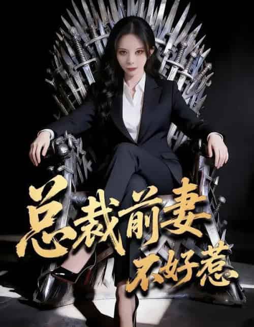 总裁前妻不好惹（41集全）罗琳＆王帅龙-初遇资源网