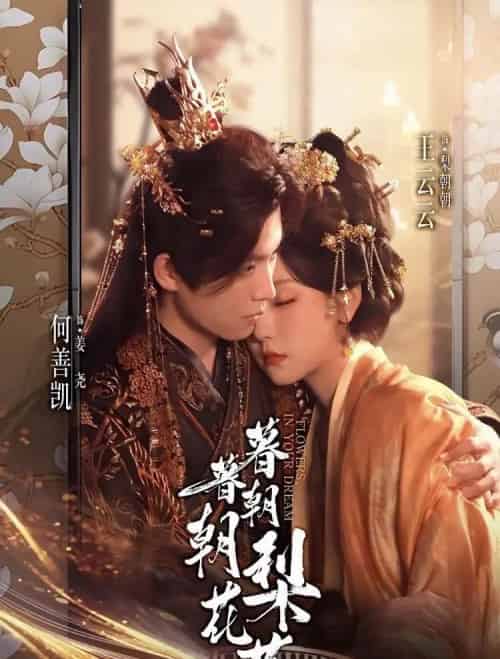 暮暮朝朝梨花落（99集全）何善凯＆王云云（彩彩云）-初遇资源网