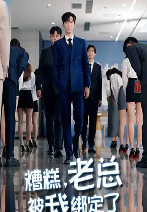糟糕老总被我绑定了(63集全)李林轩&吴帆-初遇资源网