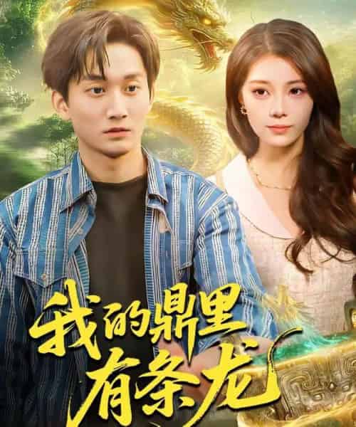 我的鼎里有条龙（83集全）黄小黄＆李默-初遇资源网