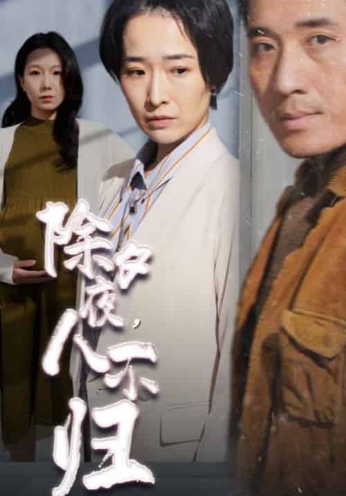 除夕夜，人不归（47集全）林逸＆赵南一-初遇资源网