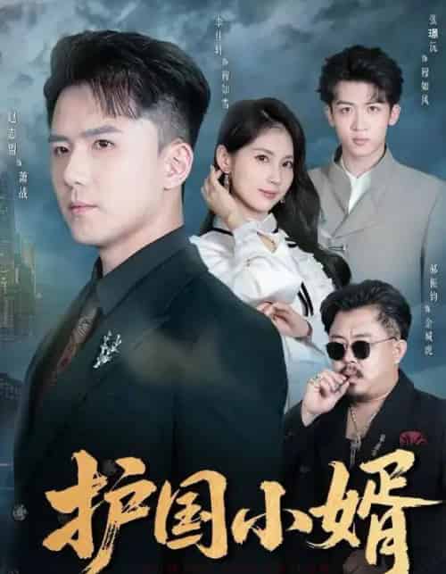 护国小婿（60集全）李佳轩＆赵志盟-初遇资源网