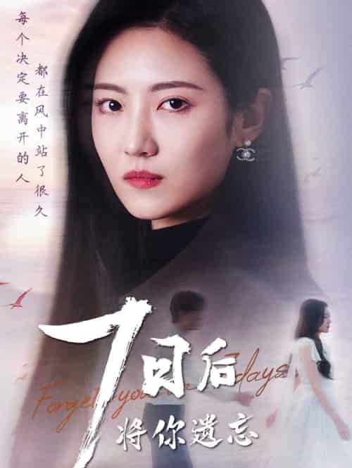 七日后将你遗忘(40集全)-初遇资源网