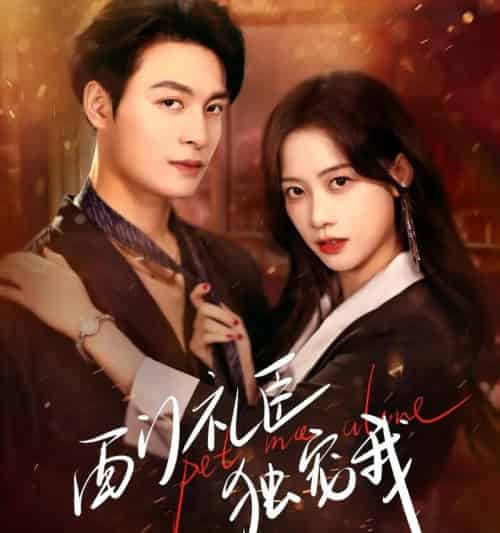 西门礼臣独宠我（80集全）刘叁肆＆康渝茜-初遇资源网