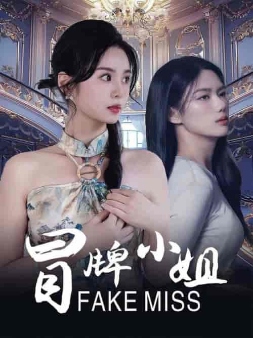 冒牌小姐(32集全)-初遇资源网