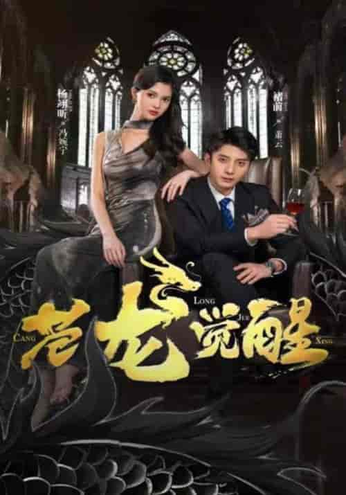 苍龙觉醒（100集）-初遇资源网