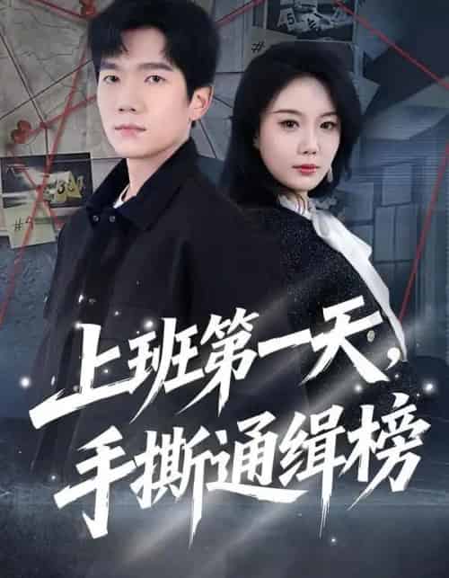 上班第一天，手撕通缉榜（79集全）文艺贞＆彭瑞风-初遇资源网