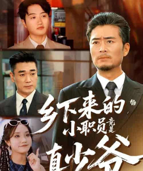 乡下来的小职员竟是真少爷（85集全）丁磊＆高晟-初遇资源网