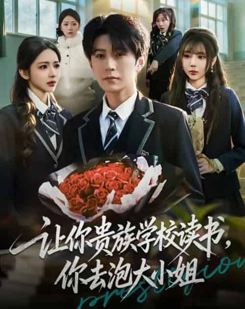 让你贵族学校读书，你去泡大小姐（71集全）月野兔＆李河源-初遇资源网