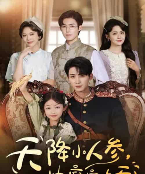 天降小人参，帅府宠上天（83集全）刘梓恒＆王子菡-初遇资源网