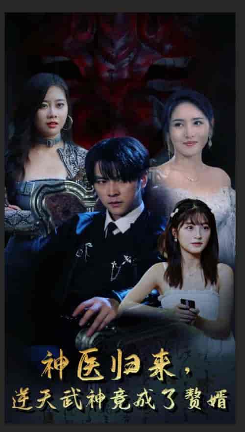 神医归来，逆天武神竟成了赘婿（80集）-初遇资源网