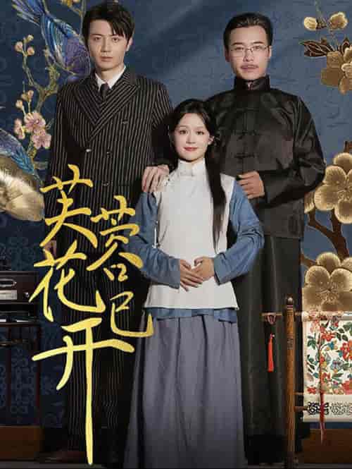 芙蓉花已开(65集全)余茵-初遇资源网