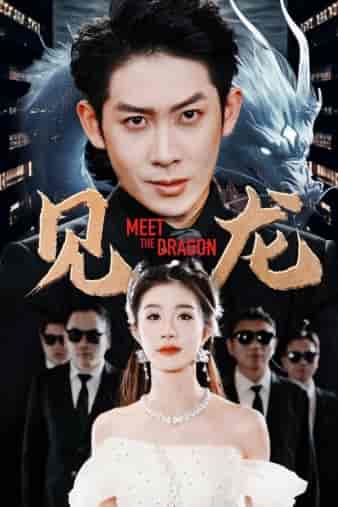 见龙（78集）-初遇资源网