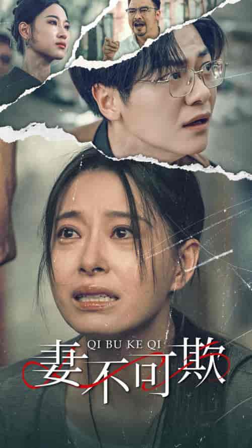 妻不可欺(51集)-初遇资源网