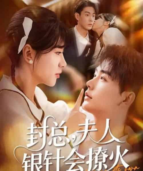 封总,夫人银针会撩火(69集全)张昊&徐海文-初遇资源网