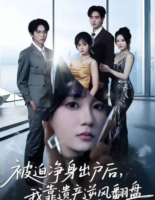 被迫净身出户后，我靠遗产逆风翻盘（40集全）李恩铭＆彭慧玲-初遇资源网