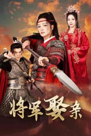 将军娶亲(36集全)-初遇资源网