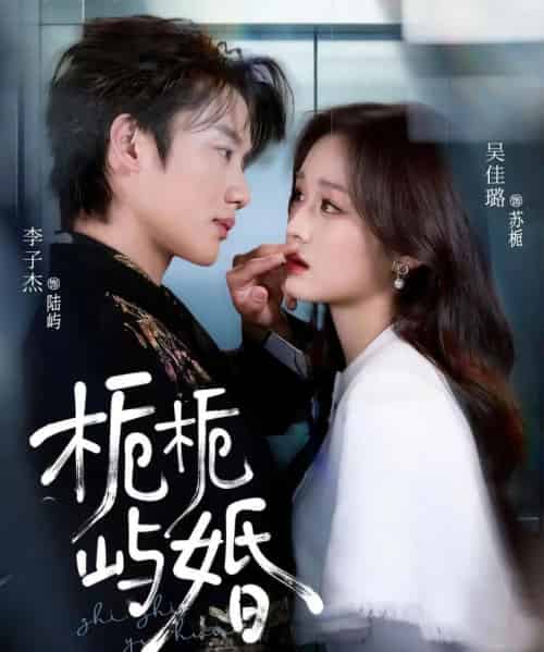 栀栀屿婚（77集全）李子杰＆吴佳璐-初遇资源网