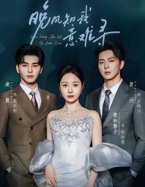 晚风知我意难寻（60集全）凌晨＆曾和惠子-初遇资源网