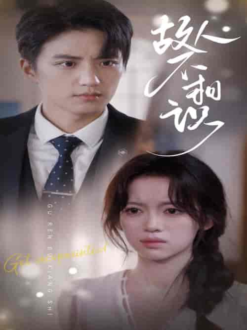 故人不相识（80集）-初遇资源网