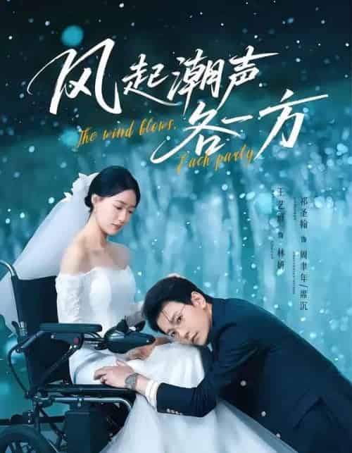 风起潮声各一方（84集全）祁圣翰＆王艺舒 - 夸克短剧